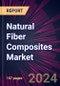 Natural Fiber Composites Market 2024-2028 - Product Thumbnail Image