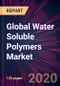 Global Water Soluble Polymers Market 2020-2024 - Product Thumbnail Image