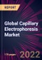 Global Capillary Electrophoresis Market 2023-2027 - Product Thumbnail Image