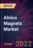 Alnico Magnets Market 2022-2026- Product Image