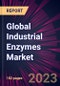 Global Industrial Enzymes Market 2023-2027 - Product Thumbnail Image