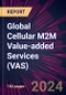 Global Cellular M2M Value-added Services (VAS) 2024-2028 - Product Image