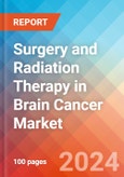 Surgery and Radiation Therapy in Brain Cancer- Market Insight, Competive Landscape and Market Forecast- 2027- Product Image