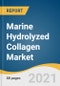 Marine Hydrolyzed Collagen Market Size, Share & Trends Analysis Report By Application, By Region, And Segment Forecasts, 2025 - 2030 - Product Thumbnail Image