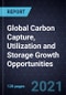Global Carbon Capture, Utilization and Storage (CCUS) Growth Opportunities - Product Thumbnail Image