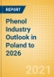 Phenol Industry Outlook in Poland to 2026 - Market Size, Company Share, Price Trends, Capacity Forecasts of All Active and Planned Plants - Product Thumbnail Image