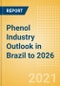 Phenol Industry Outlook in Brazil to 2026 - Market Size, Company Share, Price Trends, Capacity Forecasts of All Active and Planned Plants - Product Thumbnail Image
