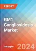 GM1 Gangliosidosis - Market Insight, Epidemiology and Market Forecast - 2034- Product Image