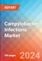 Campylobacter Infections - Market Insight, Epidemiology and Market Forecast - 2034 - Product Thumbnail Image