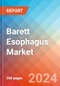 Barett Esophagus - Market Insight, Epidemiology and Market Forecast - 2034 - Product Image