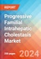 Progressive Familial Intrahepatic Cholestasis (PFIC) - Market Insight, Epidemiology and Market Forecast - 2034 - Product Image