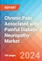 Chronic Pain Associated with Painful Diabetic Neuropathy - Market Insight, Epidemiology and Market Forecast - 2034 - Product Image