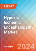 Hypoxic Ischemic Encephalopathy - Market Insight, Epidemiology and Market Forecast - 2034- Product Image