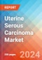 Uterine Serous Carcinoma - Market Insight, Epidemiology and Market Forecast - 2034 - Product Thumbnail Image