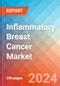 Inflammatory Breast Cancer - Market Insight, Epidemiology and Market Forecast -2032 - Product Thumbnail Image