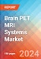 Brain PET MRI Systems - Market Insights, Competitive Landscape, and Market Forecast - 2030 - Product Image