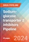 Sodium-glucose transporter 2 inhibitors - Pipeline Insight, 2024 - Product Thumbnail Image