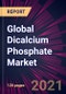 Global Dicalcium Phosphate Market 2022-2026 - Product Thumbnail Image