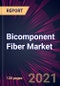 Bicomponent Fiber Market 2022-2026 - Product Thumbnail Image