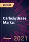 Carbohydrase Market 2021-2025 - Product Thumbnail Image