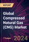 Global Compressed Natural Gas (CNG) Market 2024-2028 - Product Image