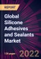 Global Silicone Adhesives and Sealants Market 2022-2026 - Product Thumbnail Image