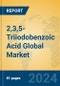 2,3,5-Triiodobenzoic Acid Global Market Insights 2024, Analysis and Forecast to 2029, by Manufacturers, Regions, Technology, Application - Product Thumbnail Image