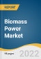 Biomass Power Market Size, Share & Trends Analysis Report by Feedstock (Solid Biofuel, Liquid Biofuel), by Technology (Combustion, Gasification), by Region (North America, EU, APAC), and Segment Forecasts, 2022-2030 - Product Thumbnail Image