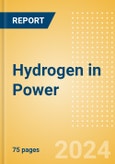Hydrogen in Power (2023) - Thematic Research- Product Image