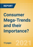 Consumer Mega-Trends and their Importance? - Consumer Survey Insights- Product Image