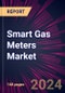 Smart Gas Meters Market 2024-2028 - Product Image