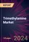 Trimethylamine Market 2024-2028 - Product Image