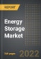 Energy Storage Market (2022 Edition) - Analysis By Type (Battery, PSH, TES, Others), End-User, By Region, By Country: Market Insights and Forecast with Impact of Covid-19 (2022-2027) - Product Thumbnail Image