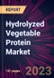 Hydrolyzed Vegetable Protein Market 2024-2028 - Product Thumbnail Image