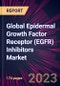 Global Epidermal Growth Factor Receptor (EGFR) Inhibitors Market 2024-2028 - Product Thumbnail Image
