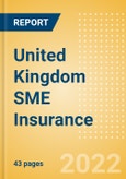 United Kingdom (UK) SME Insurance - Purchasing Journey 2021- Product Image