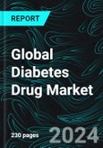 Global Diabetes Drug Market Report by Drug class, Diabetes types, Route of Administration, Distribution Channels, Region and Company Analysis 2024-2032- Product Image