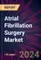 Atrial Fibrillation Surgery Market 2024-2028 - Product Thumbnail Image