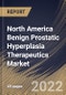 North America Benign Prostatic Hyperplasia Therapeutics Market Size, Share & Industry Trends Analysis Report By Therapy (Mono Drug Therapy and Combination Drug Therapy), By Therapeutics Class, By Country and Growth Forecast, 2021-2027 - Product Thumbnail Image