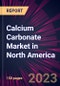 Calcium Carbonate Market in North America 2024-2028 - Product Image