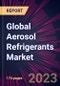 Global Aerosol Refrigerants Market 2023-2027 - Product Thumbnail Image