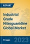 Industrial Grade Nitroguanidine Global Market Insights 2023, Analysis and Forecast to 2028, by Manufacturers, Regions, Technology, Application, Product Type - Product Thumbnail Image