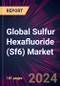 Global Sulfur Hexafluoride (Sf6) Market 2024-2028 - Product Image