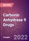 Carbonic Anhydrase 9 Drugs in Development by Therapy Areas and Indications, Stages, MoA, RoA, Molecule Type and Key Players - Product Thumbnail Image