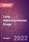 Lung Adenocarcinoma Drugs in Development by Stages, Target, MoA, RoA, Molecule Type and Key Players - Product Thumbnail Image