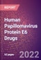 Human Papillomavirus Protein E6 Drugs in Development by Therapy Areas and Indications, Stages, MoA, RoA, Molecule Type and Key Players - Product Thumbnail Image