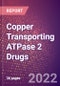 Copper Transporting ATPase 2 Drugs in Development by Therapy Areas and Indications, Stages, MoA, RoA, Molecule Type and Key Players - Product Thumbnail Image