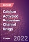 Calcium Activated Potassium Channel Drugs in Development by Therapy Areas and Indications, Stages, MoA, RoA, Molecule Type and Key Players - Product Thumbnail Image