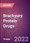 Brachyury Protein Drugs in Development by Therapy Areas and Indications, Stages, MoA, RoA, Molecule Type and Key Players - Product Thumbnail Image