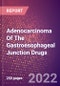 Adenocarcinoma Of The Gastroesophageal Junction Drugs in Development by Stages, Target, MoA, RoA, Molecule Type and Key Players - Product Thumbnail Image